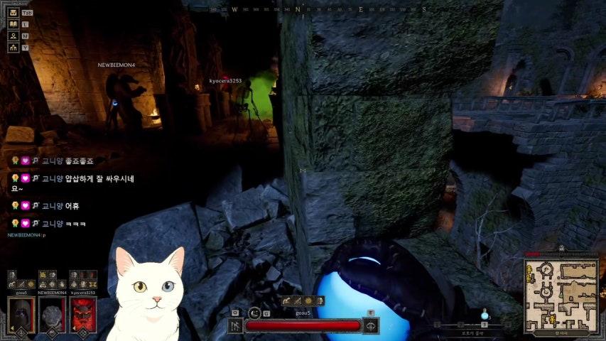 로마산양 라이브 이미지