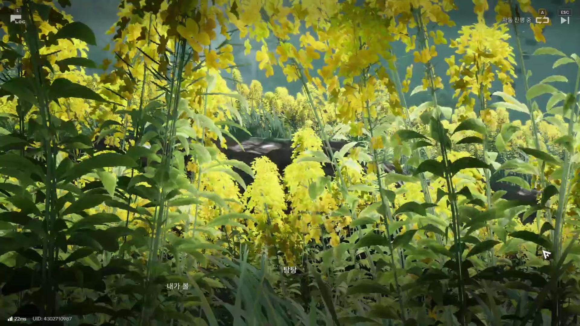 skw7614 - 명일방주: 엔드필드