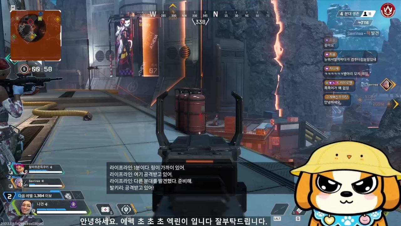 나 견 라이브 썸네일