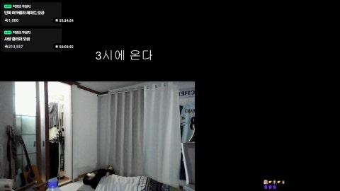 겟챠와크