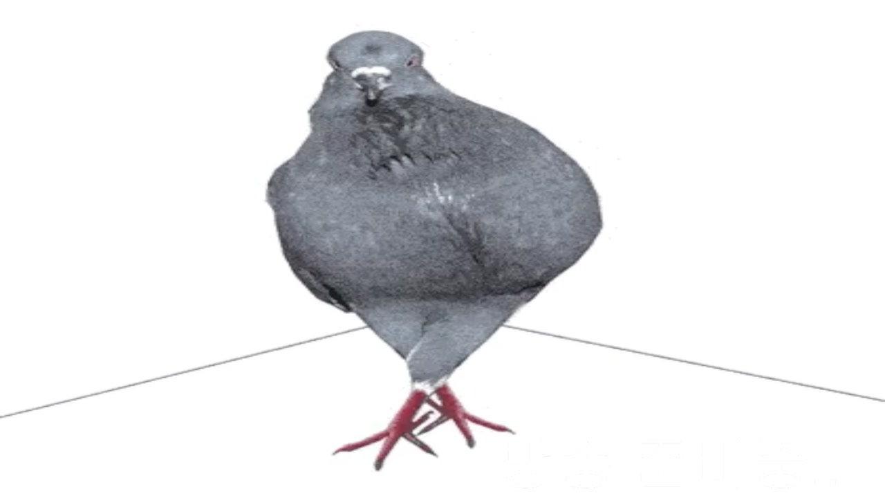 라이브 썸네일